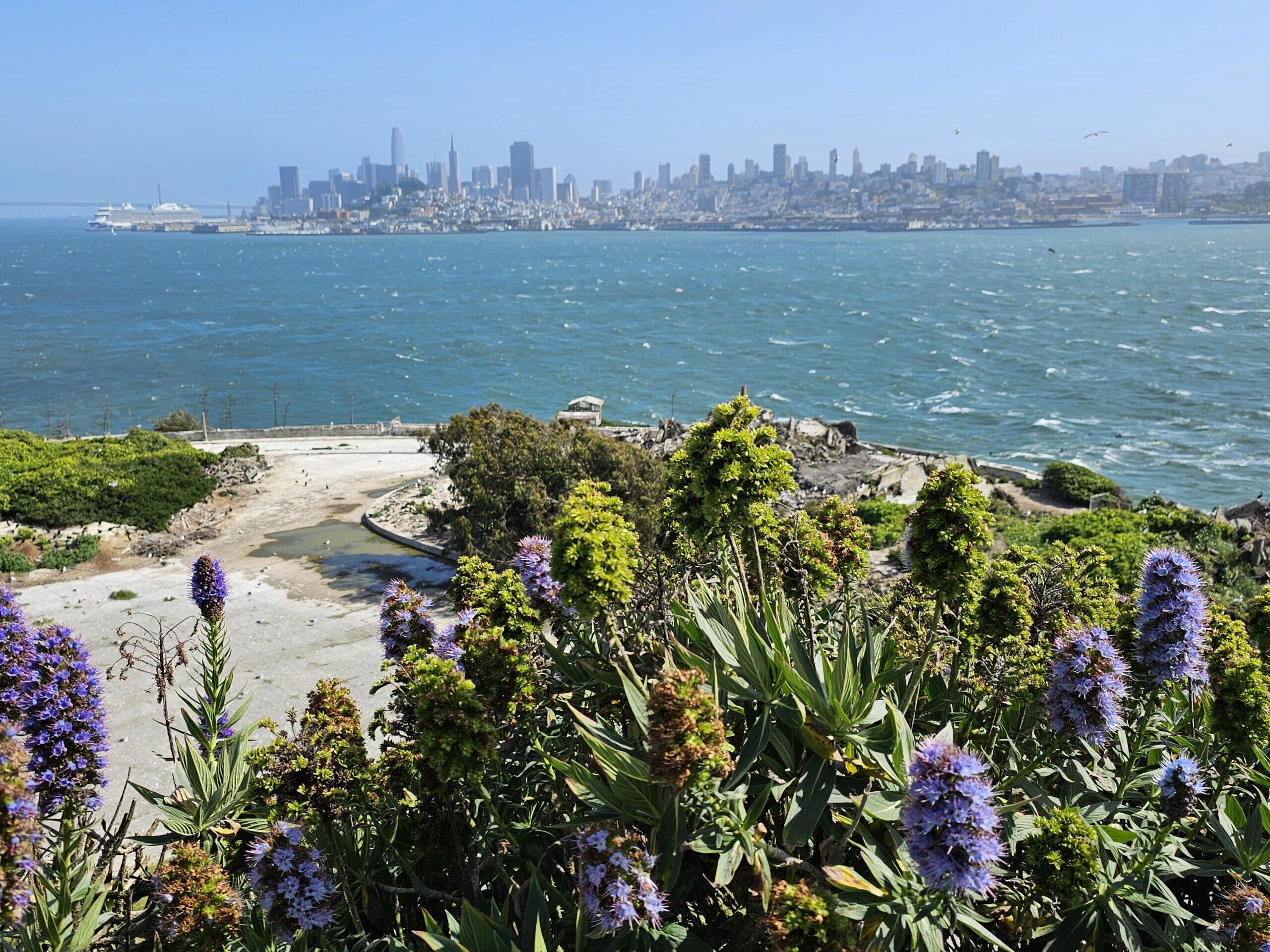 Alcatraz Gardens
