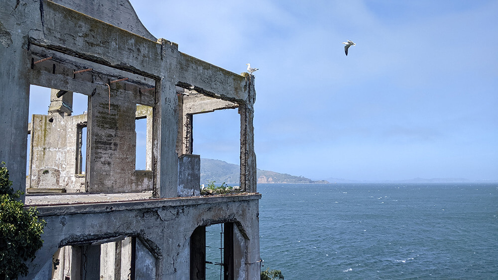 Fishermans Wharf Tour With Alcatraz Island