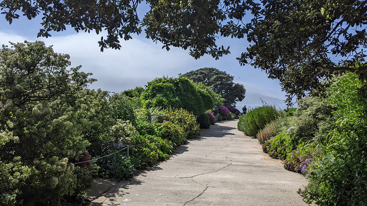 garden Alcatraz Island