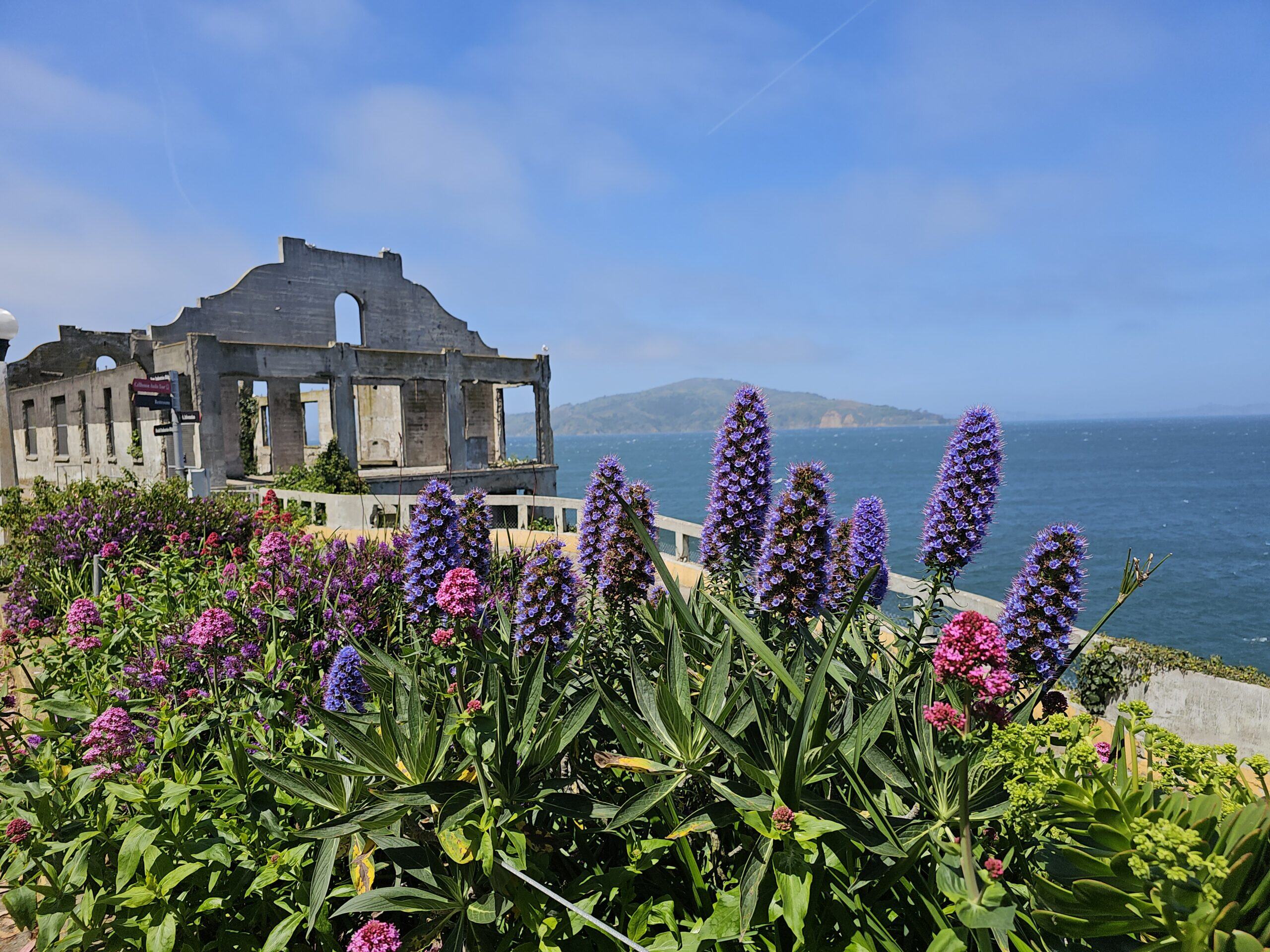 Alcatraz Gardens