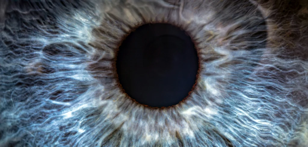 A close-up view of a human eye