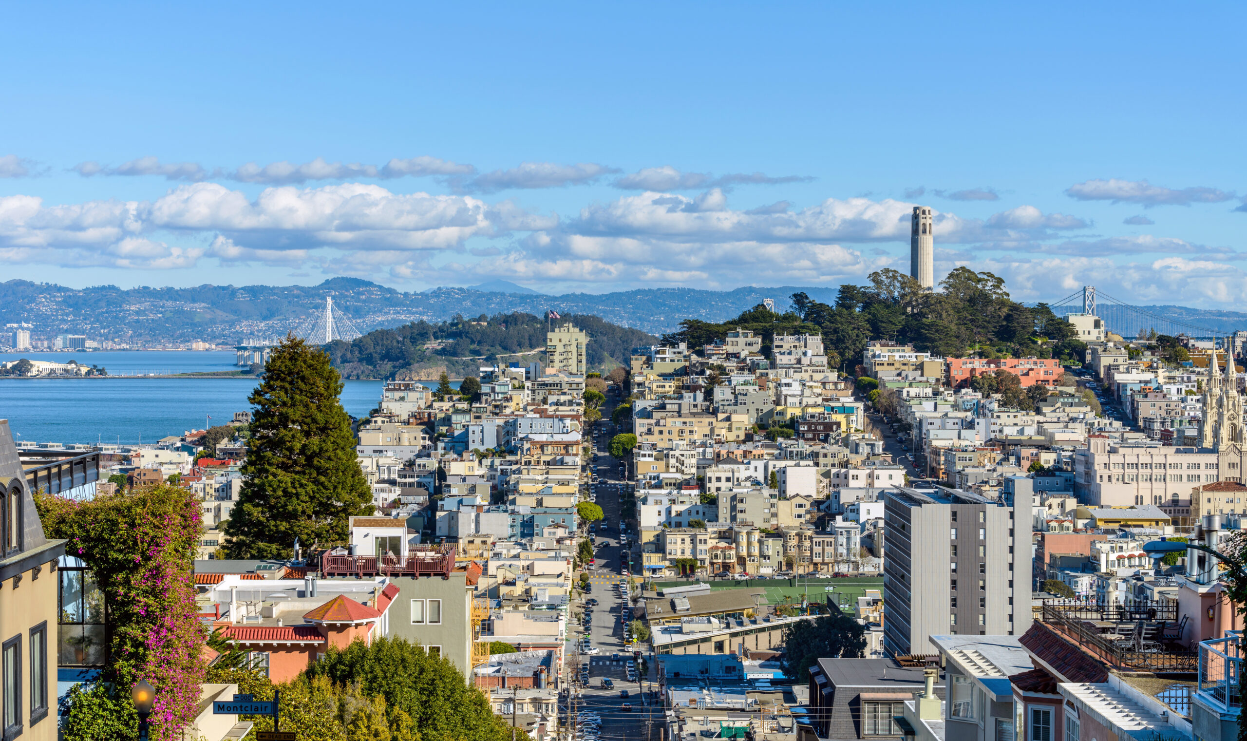 A panoramic view of neighborhoods of Telegraph Hill, Coit Tower and San Francisco Bay, looking from top of Russian Hill, San Francisco