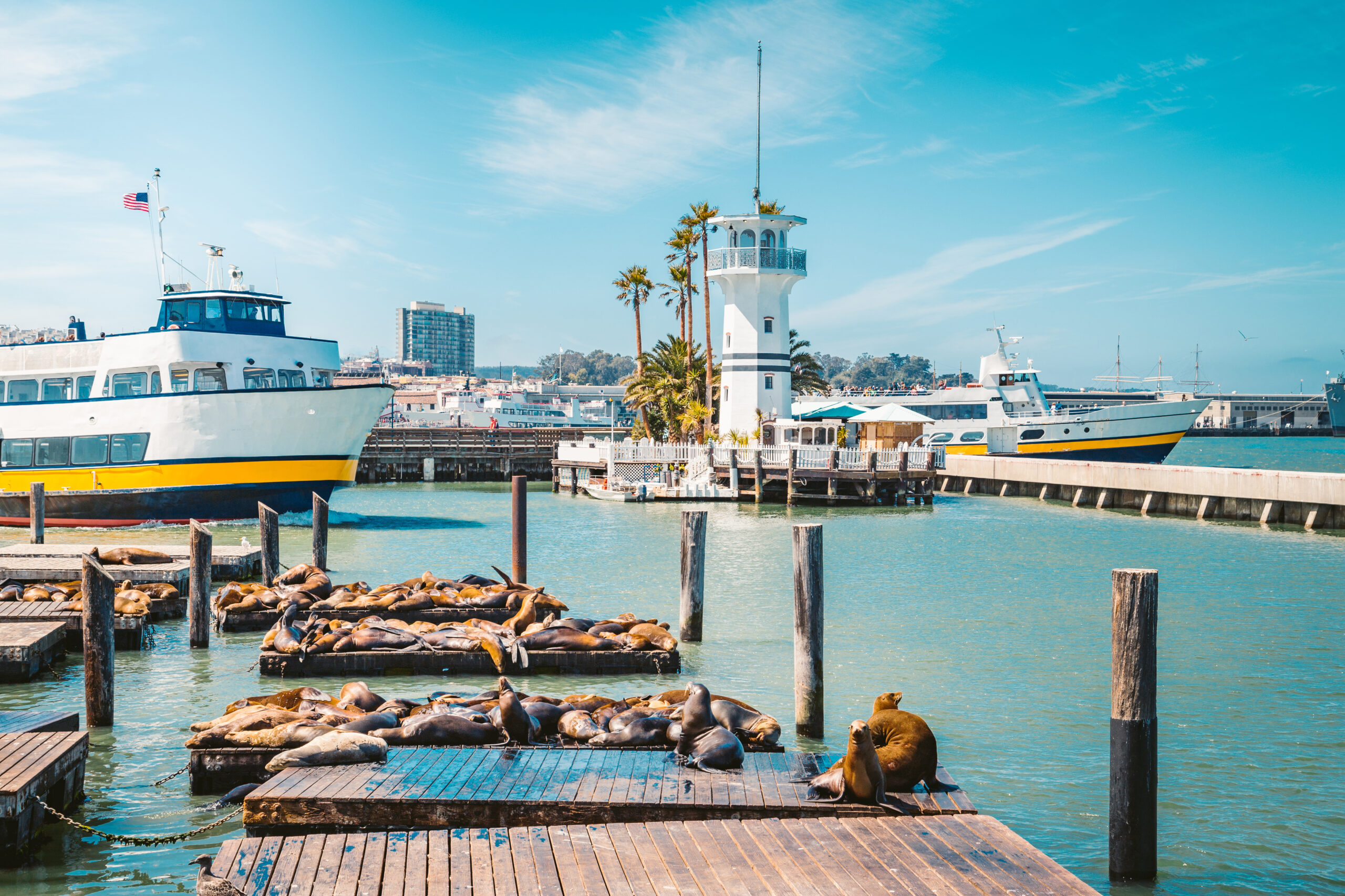 Pier and boats seen on SF walking tour of Fisherman's Wharf